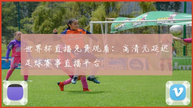 世界杯直播免费观看：高清无延迟足球赛事直播平台