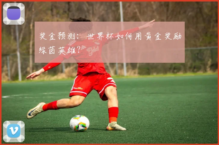 奖金预测：世界杯如何用黄金奖励绿茵英雄？