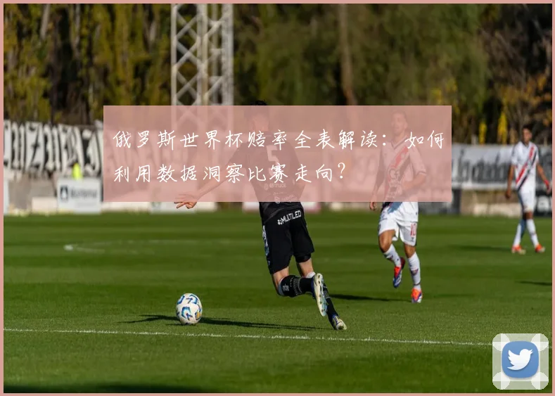 俄罗斯世界杯赔率全表解读：如何利用数据洞察比赛走向？