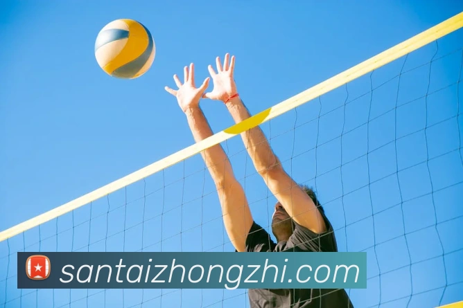 zoty体育官网服务体系