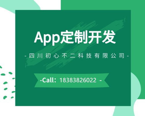 自贡app定制开发,做一款社交app需要多少钱